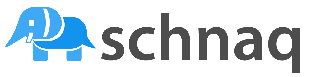 schnaq logo: anchor symbol with the schnaq wordmark.