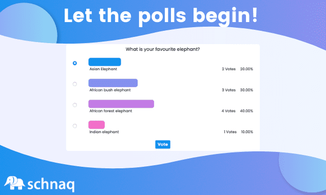 Ein Bild einer schnaq Abstimmung. Zu sehen sind mehrere Optionen aus denen der oder die Nutzer:in auswählen kann.